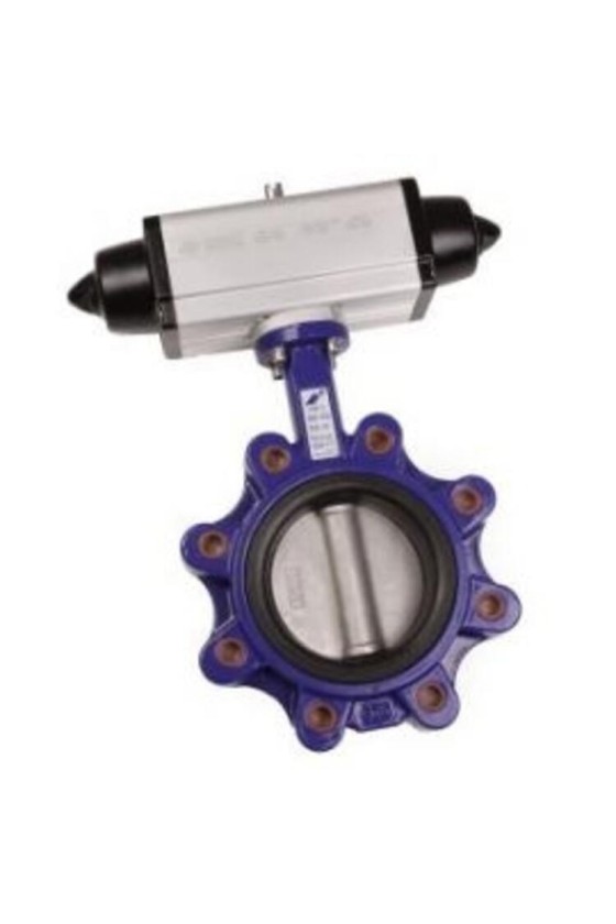 Lugged Butterfly Valve and Spring Return Actuator