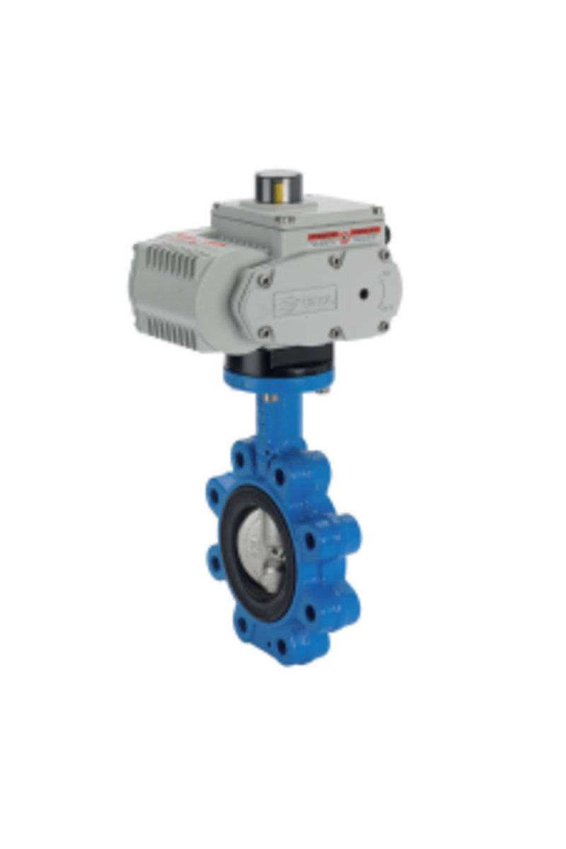 Lugged Butterfly Valve
