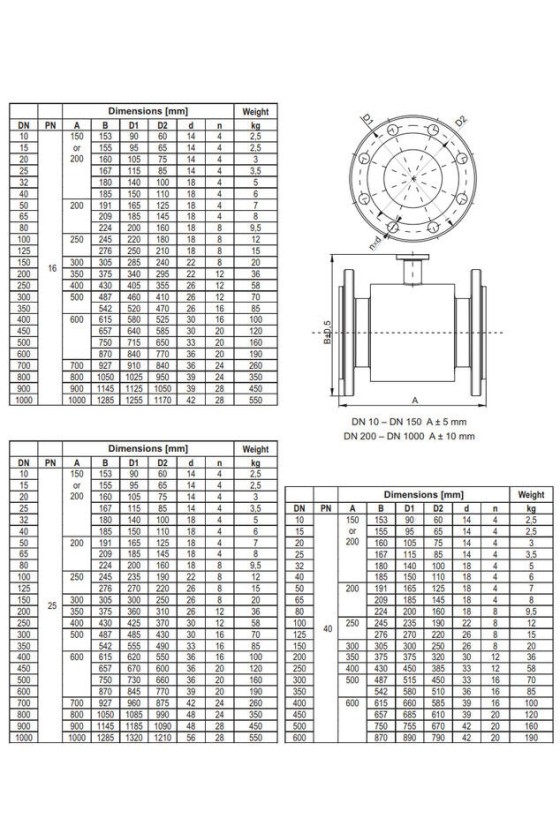 Aplisens - PEM-1000 Series Flow Meter