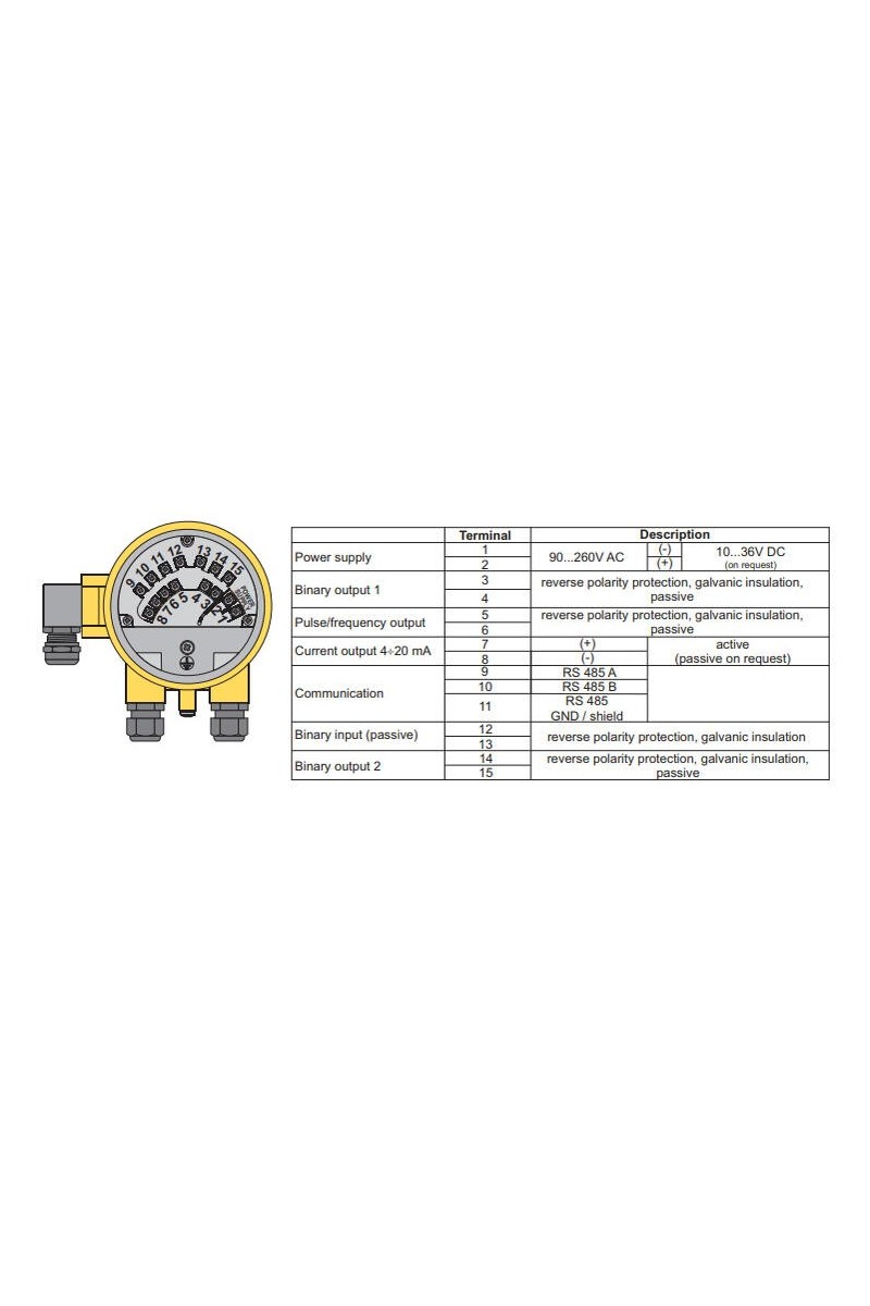 Aplisens - PEM-1000 Series Flow Meter